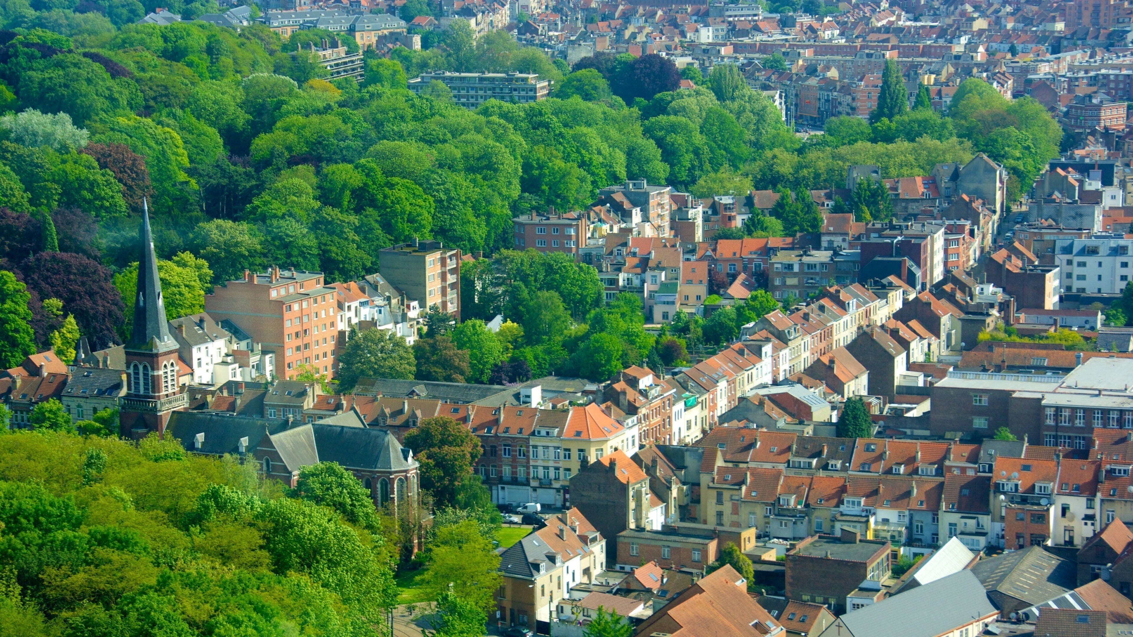 Brussels showing a city