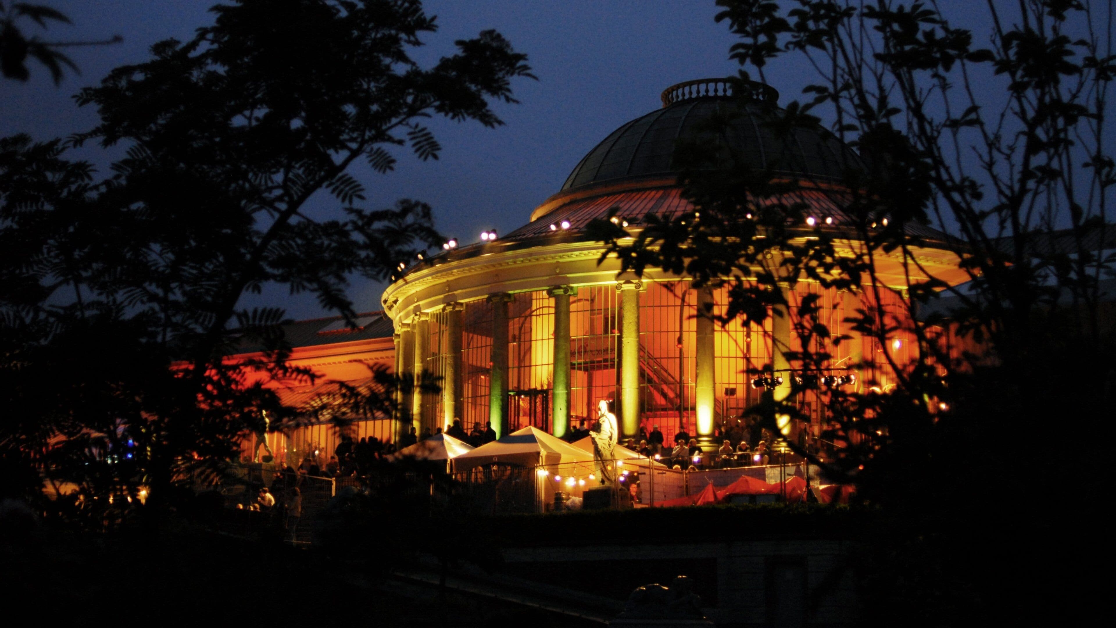 Brussels which includes a city and night scenes