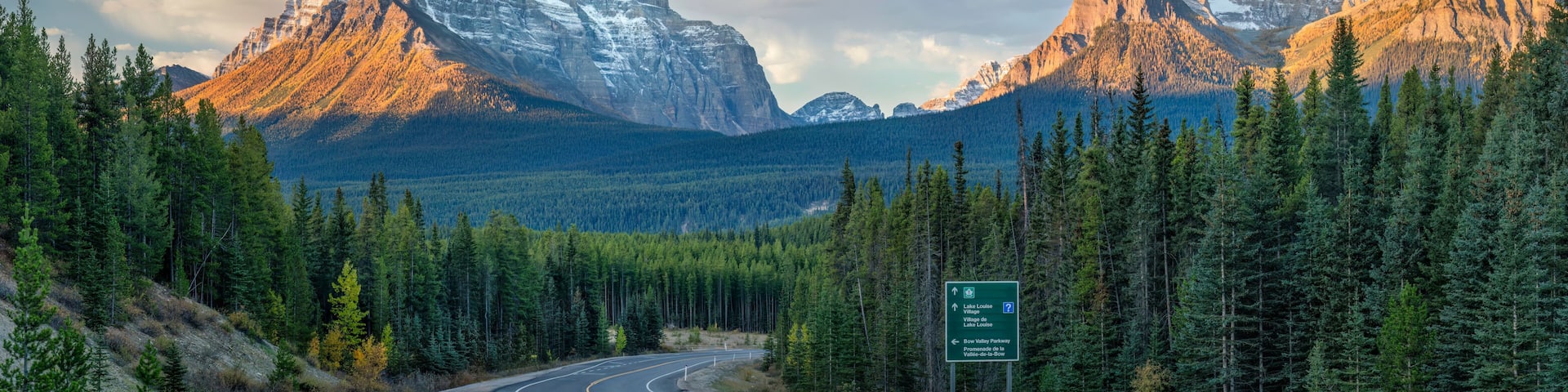 A winding road through a forest with a mountain range in the background.