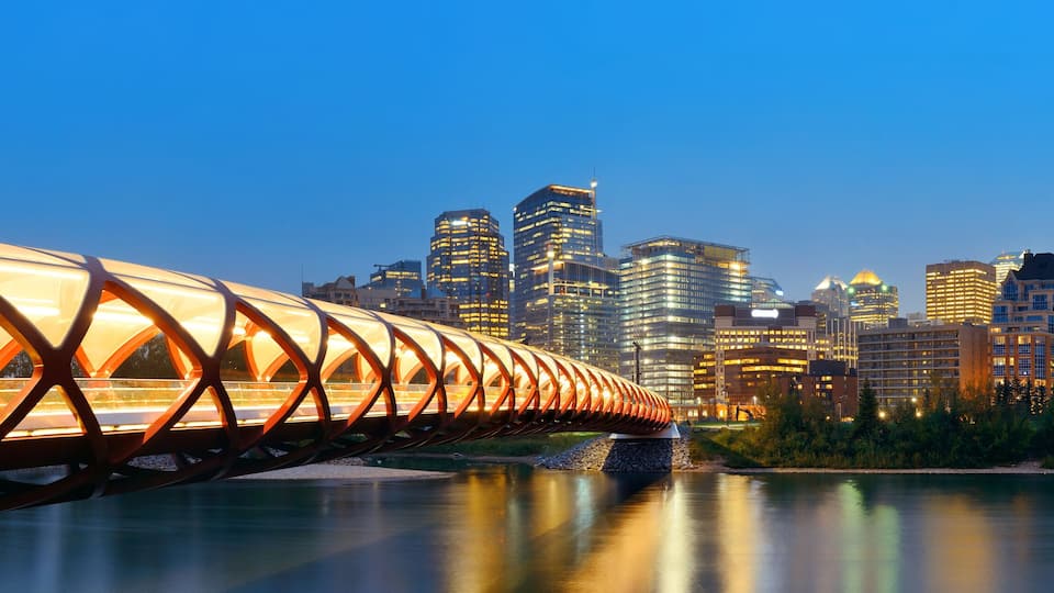 A bridge with a unique design over a river, with a city skyline in the background.