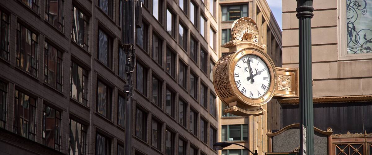 Chicago inclusief een stad en historisch erfgoed