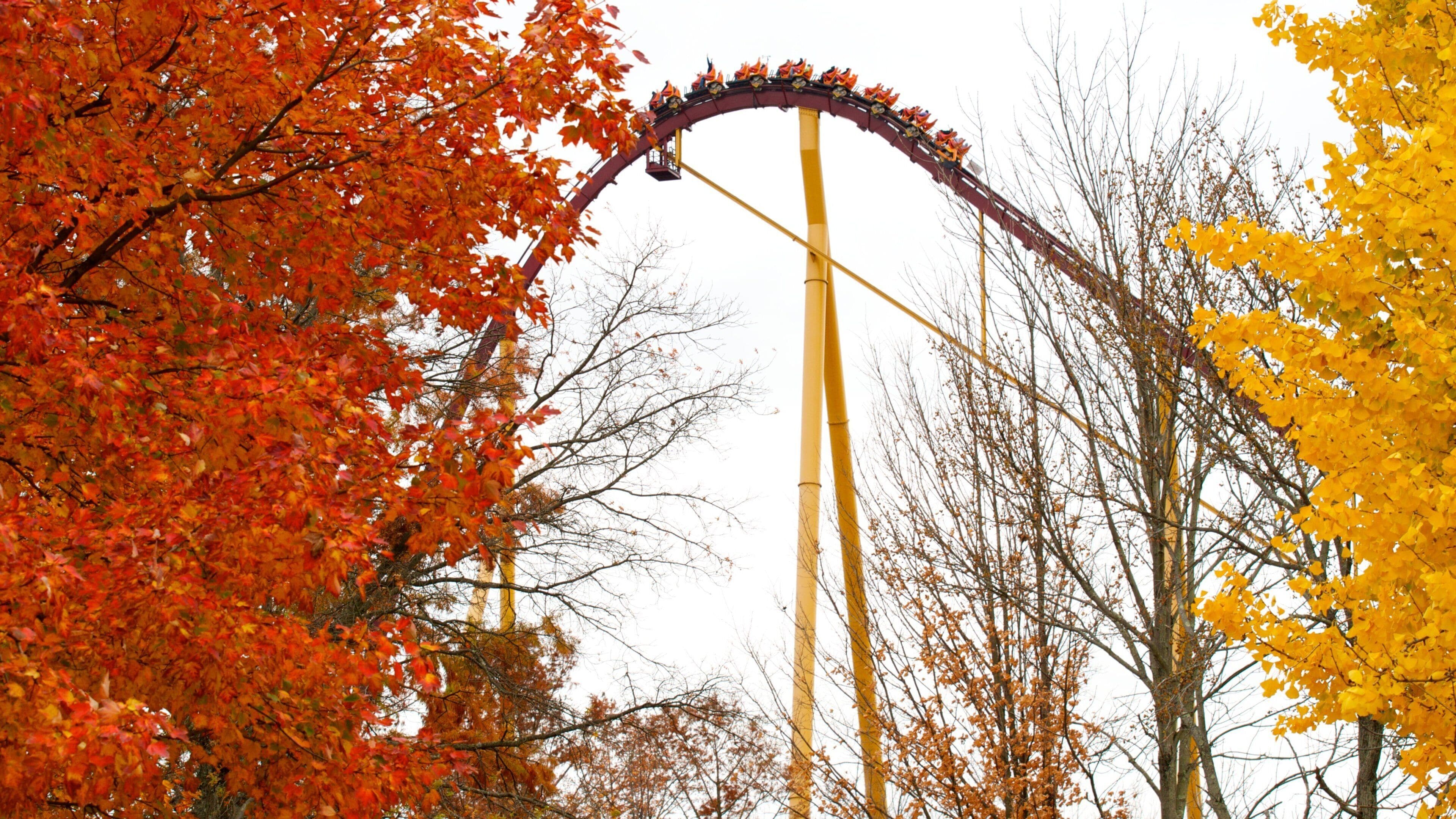 Cincinnati's autumn landscape featuring a thrilling roller coaster against colorful fall foliage