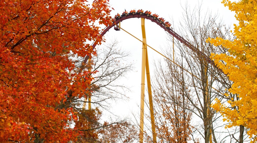 Cincinnati's autumn landscape featuring a thrilling roller coaster against colorful fall foliage