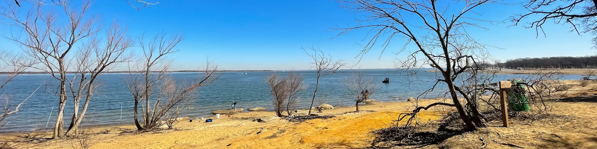 Panoramic tall dormant and bare trees along sandy shoreline of Lake Lewisville near Dallas, Texas, America
