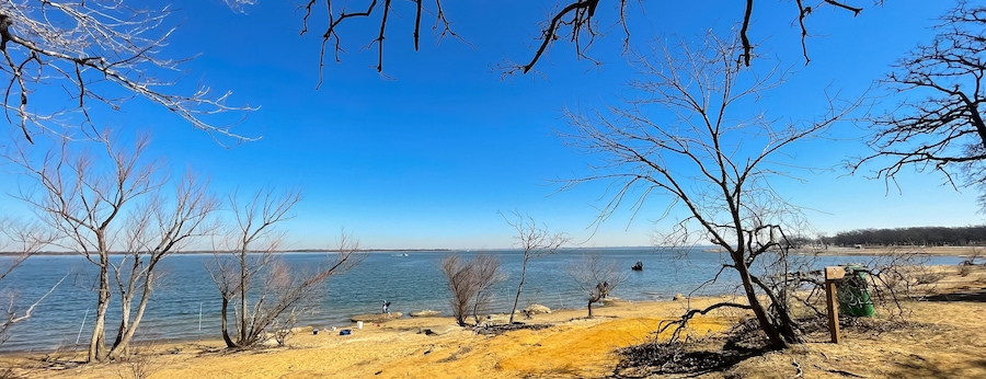 Panoramic tall dormant and bare trees along sandy shoreline of Lake Lewisville near Dallas, Texas, America