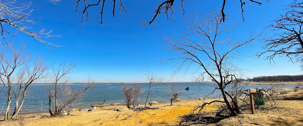 A lakeside scene with leafless trees, a sandy shore, and a clear blue sky.
