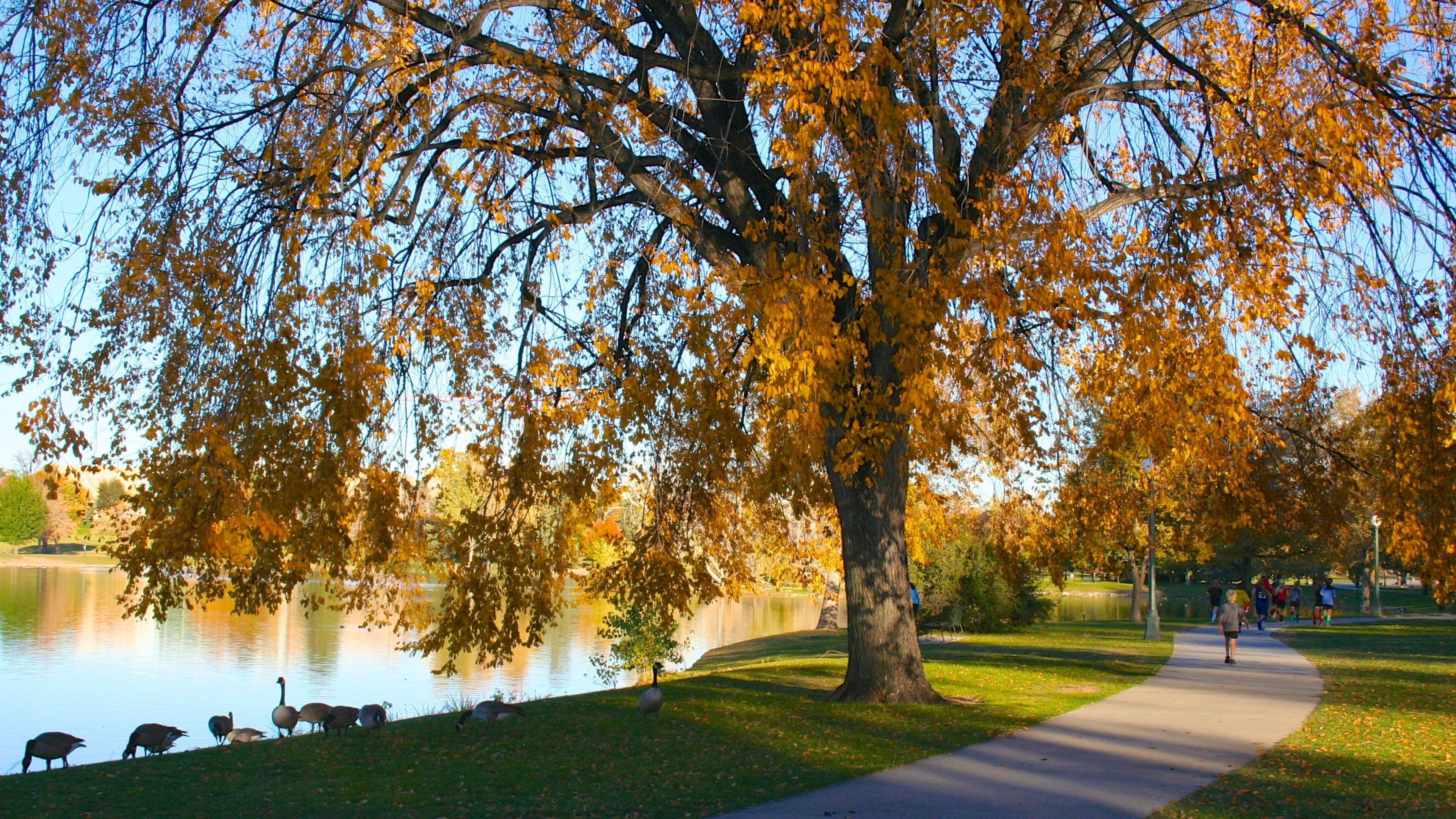 City Park featuring autumn leaves, a lake or waterhole and a garden