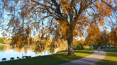 Parque de la Ciudad que incluye un jardín, un lago o abrevadero y los colores del otoño