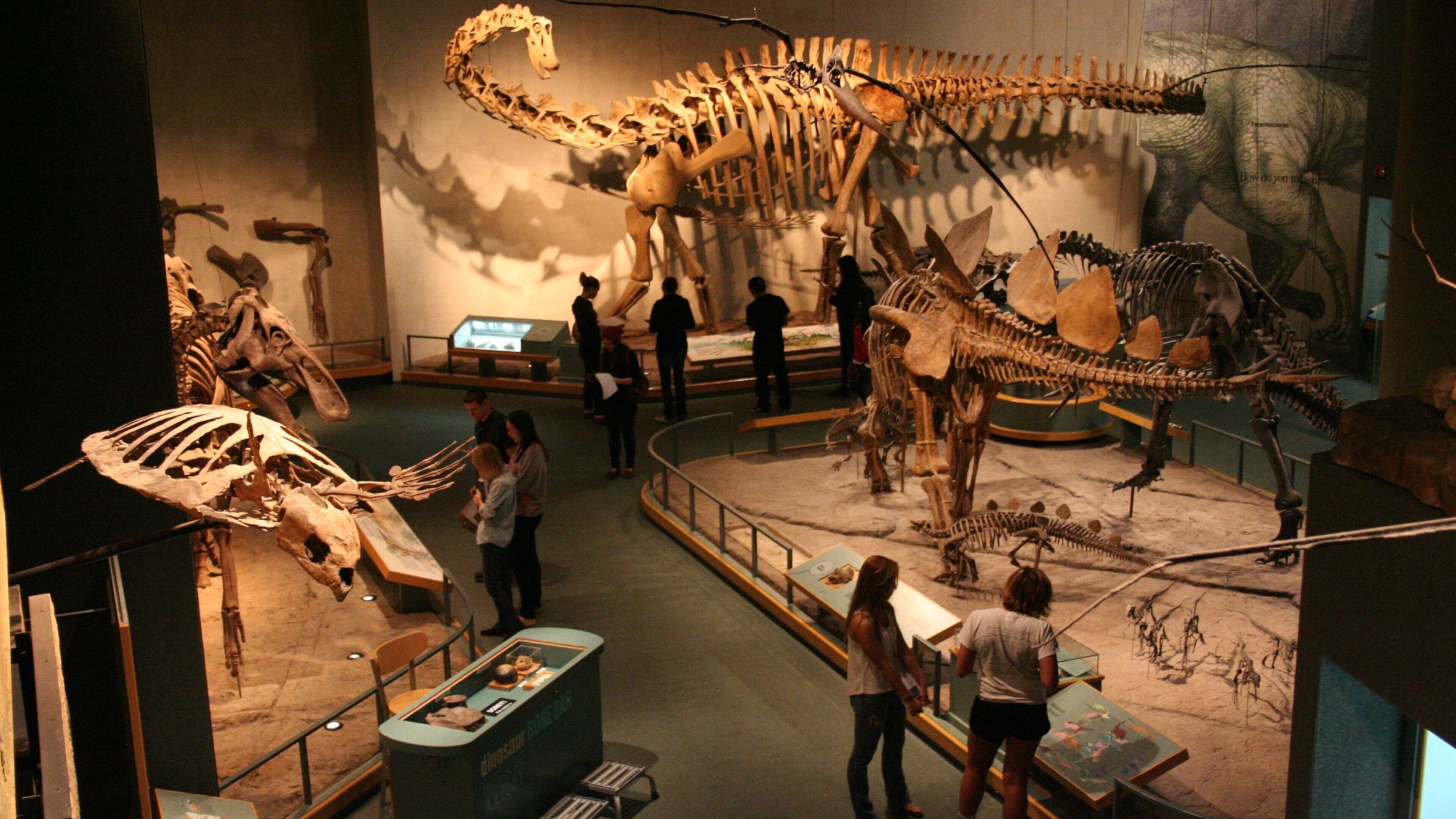 Denver inclusief interieur