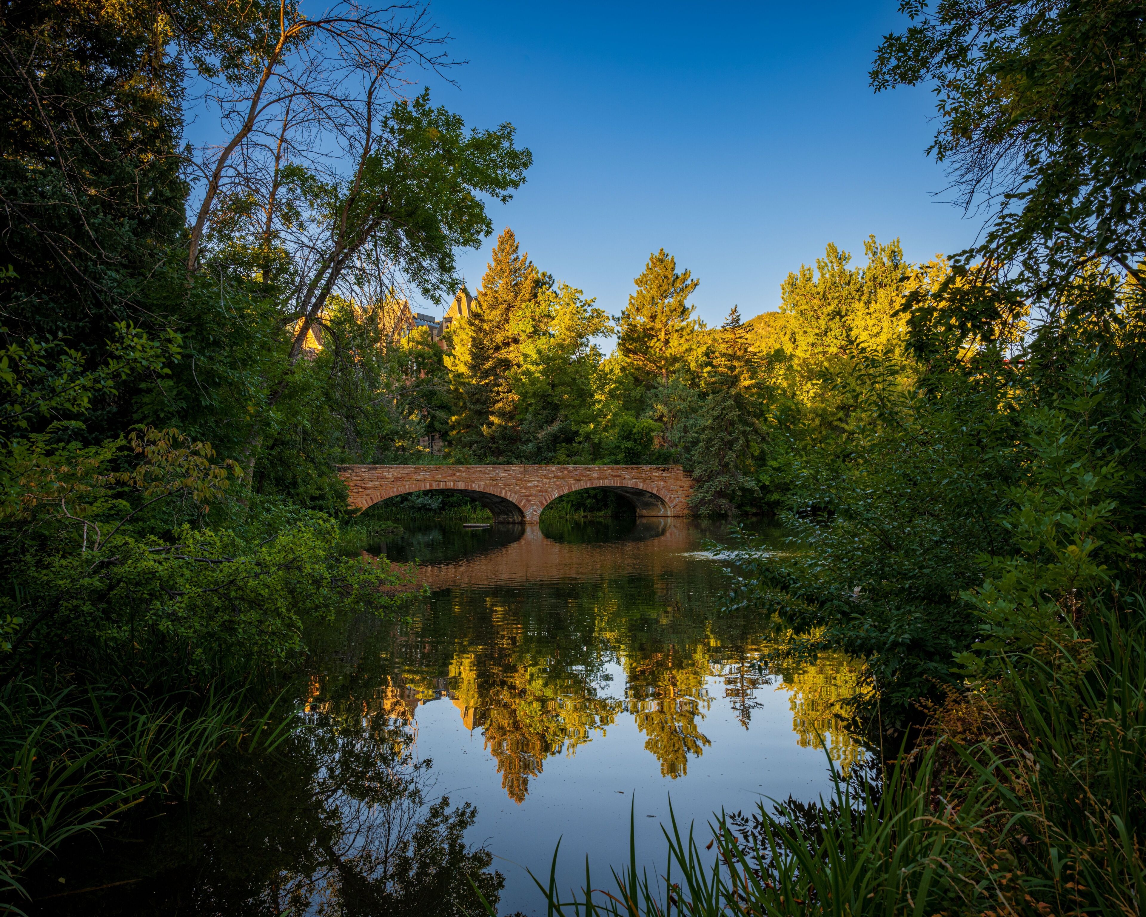 A stone bridge over a calm river, surrounded by dense greenery and trees reflecting in the water.