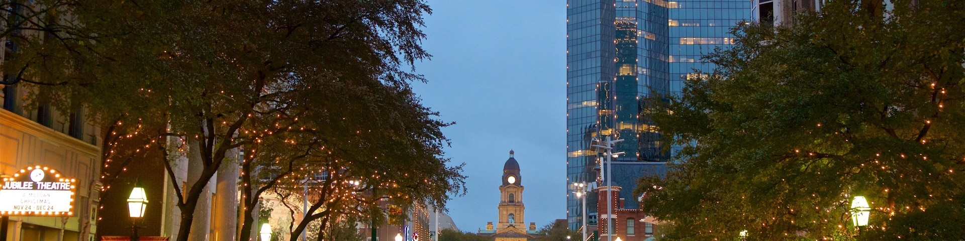 Fort Worth showing night scenes and a city