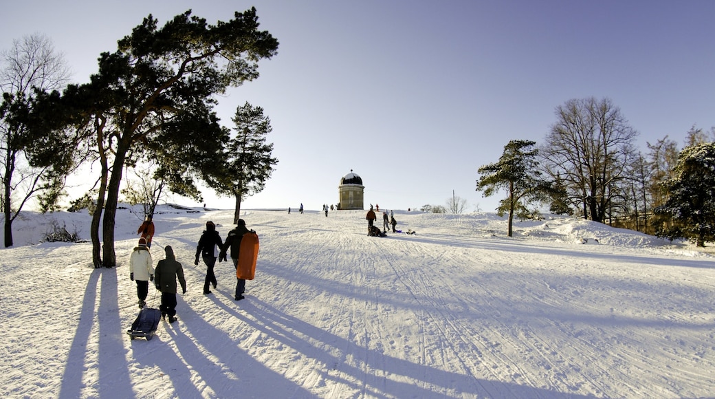 Winter day in Helsinki's Uusimaa region with people enjoying snowy landscapes and clear skies
