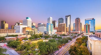 Houston, Texas, USA Skyline