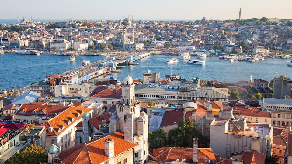 A coastal cityscape with a prominent mosque, a bridge, and a bustling harbor.