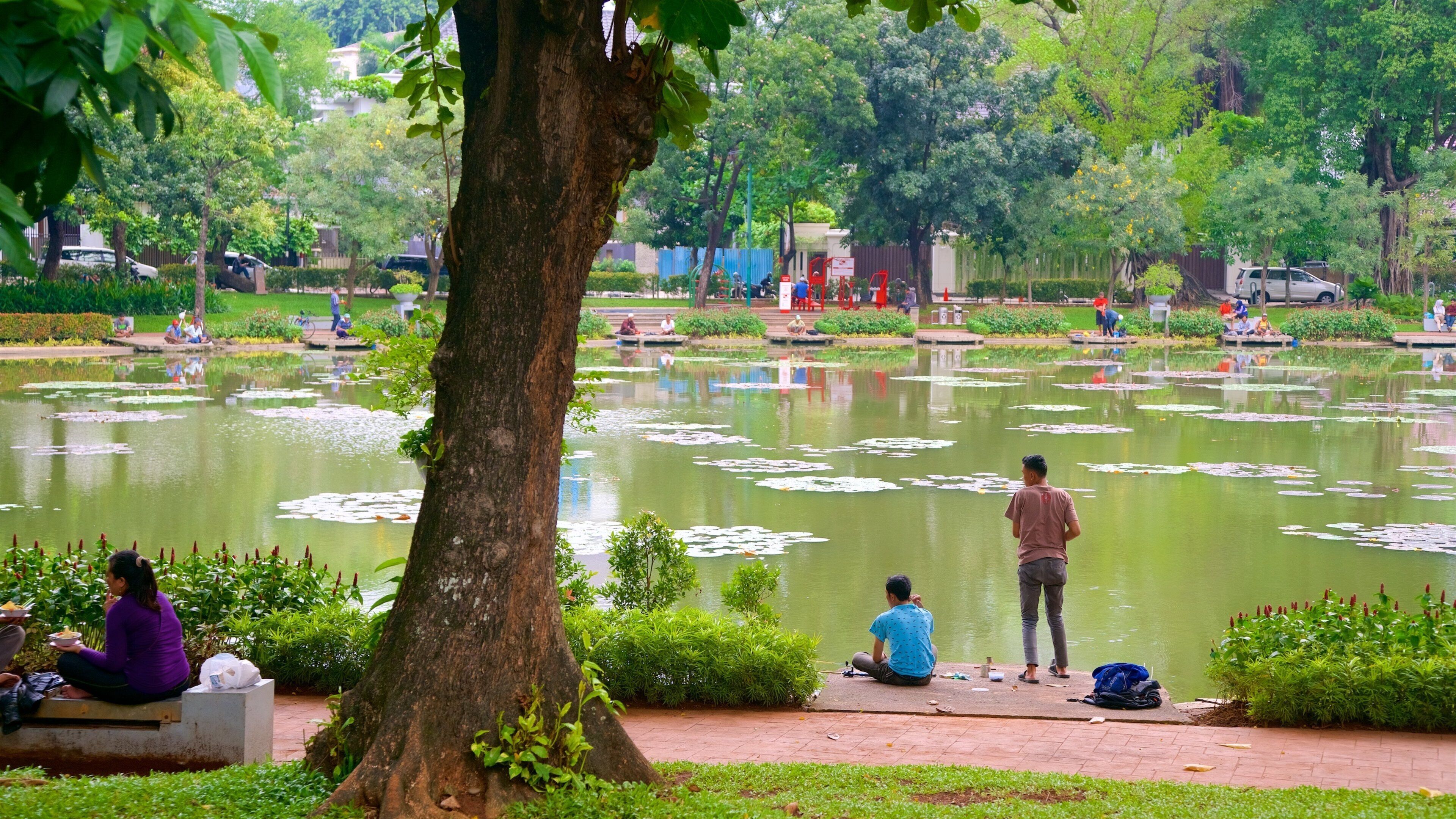 Jakarta som viser en have og en dam