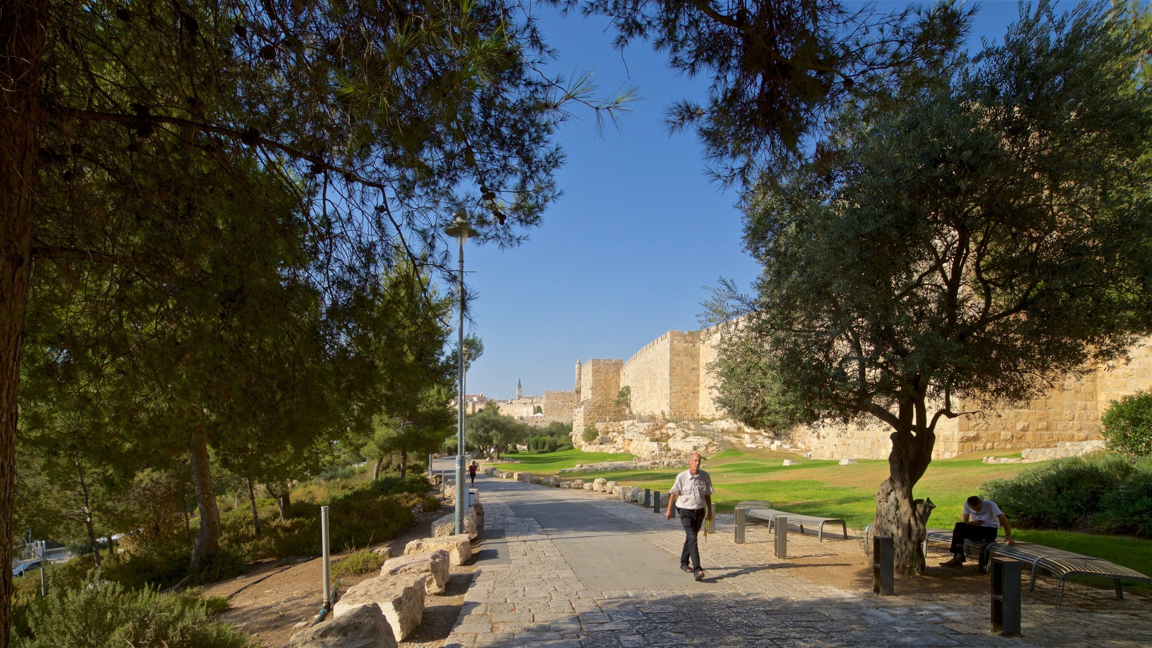 Jerusalem showing a park as well as an individual male
