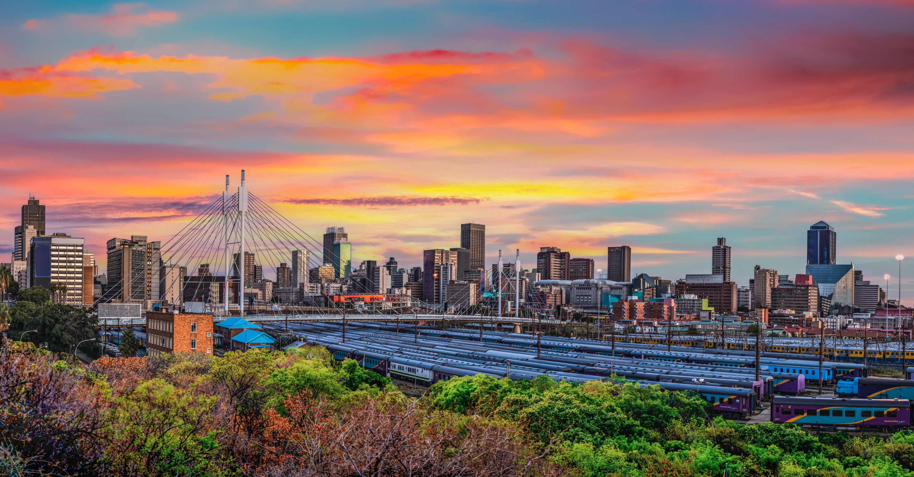 A cityscape with a prominent cable-stayed bridge, dense urban buildings, and a train yard.