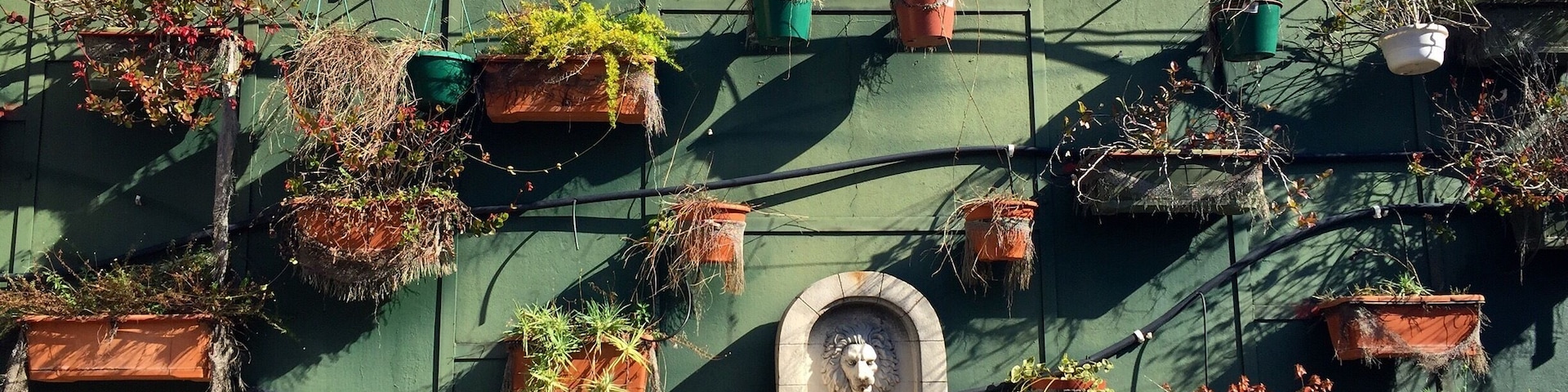 The same guy owns the beer hall and the next door hostel, called The Cottage. This is one of the courtyard walls of the hostel.