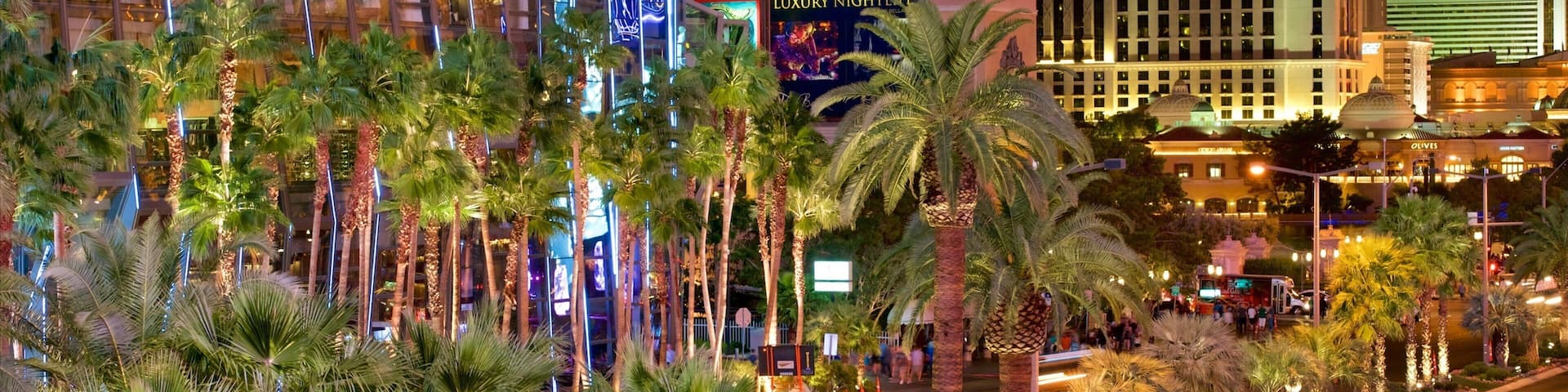Las Vegas which includes signage, night scenes and a casino