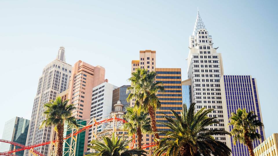 A city skyline with tall buildings, palm trees, and a roller coaster.