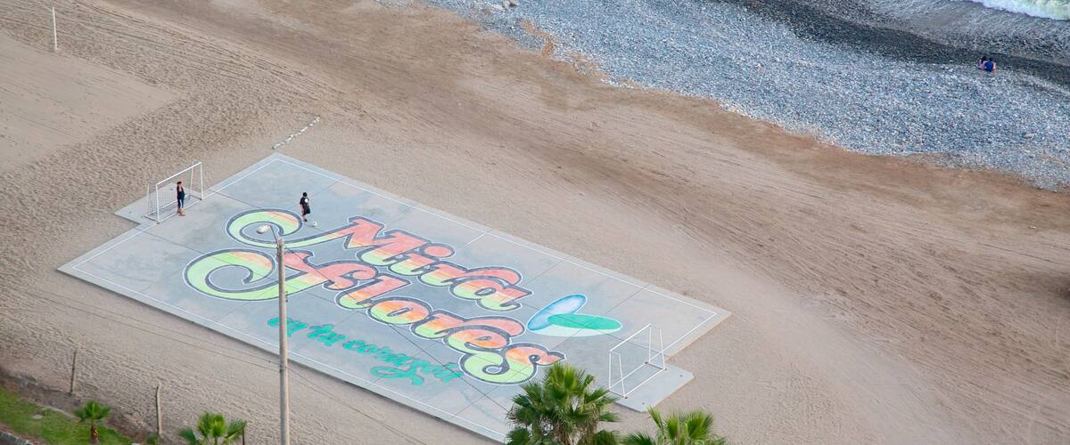 Lima showing tropical scenes and general coastal views