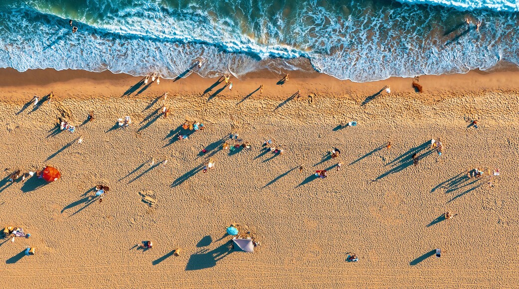 Aerial view of the beach in Santa Monica, CA