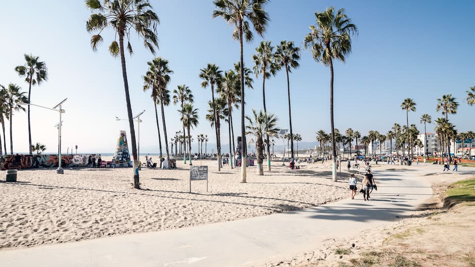 A beach with palm trees and a clear sky.