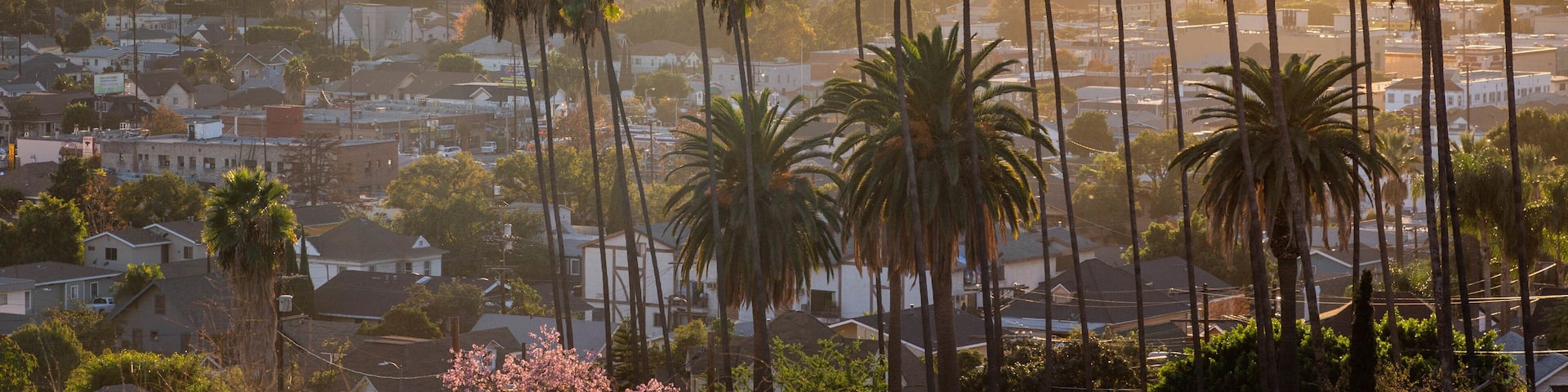 Los Angeles which includes a sunset, a city and landscape views