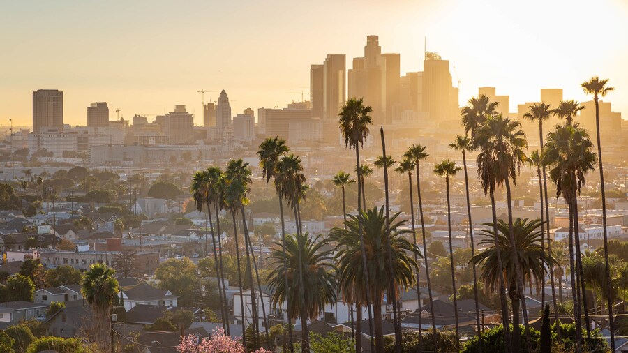 What are the top things to do in Los Angeles? - Expedia.com