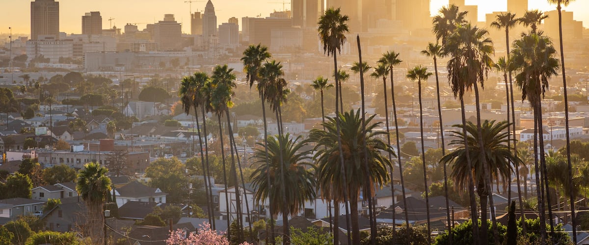 A cityscape with palm trees in the foreground and a skyline of tall buildings in the background.