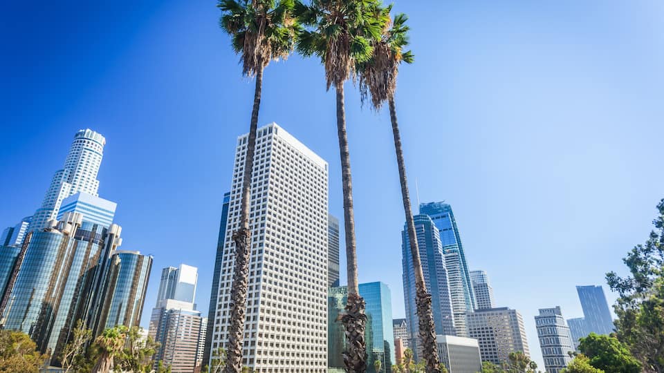 A cityscape with tall buildings and palm trees.