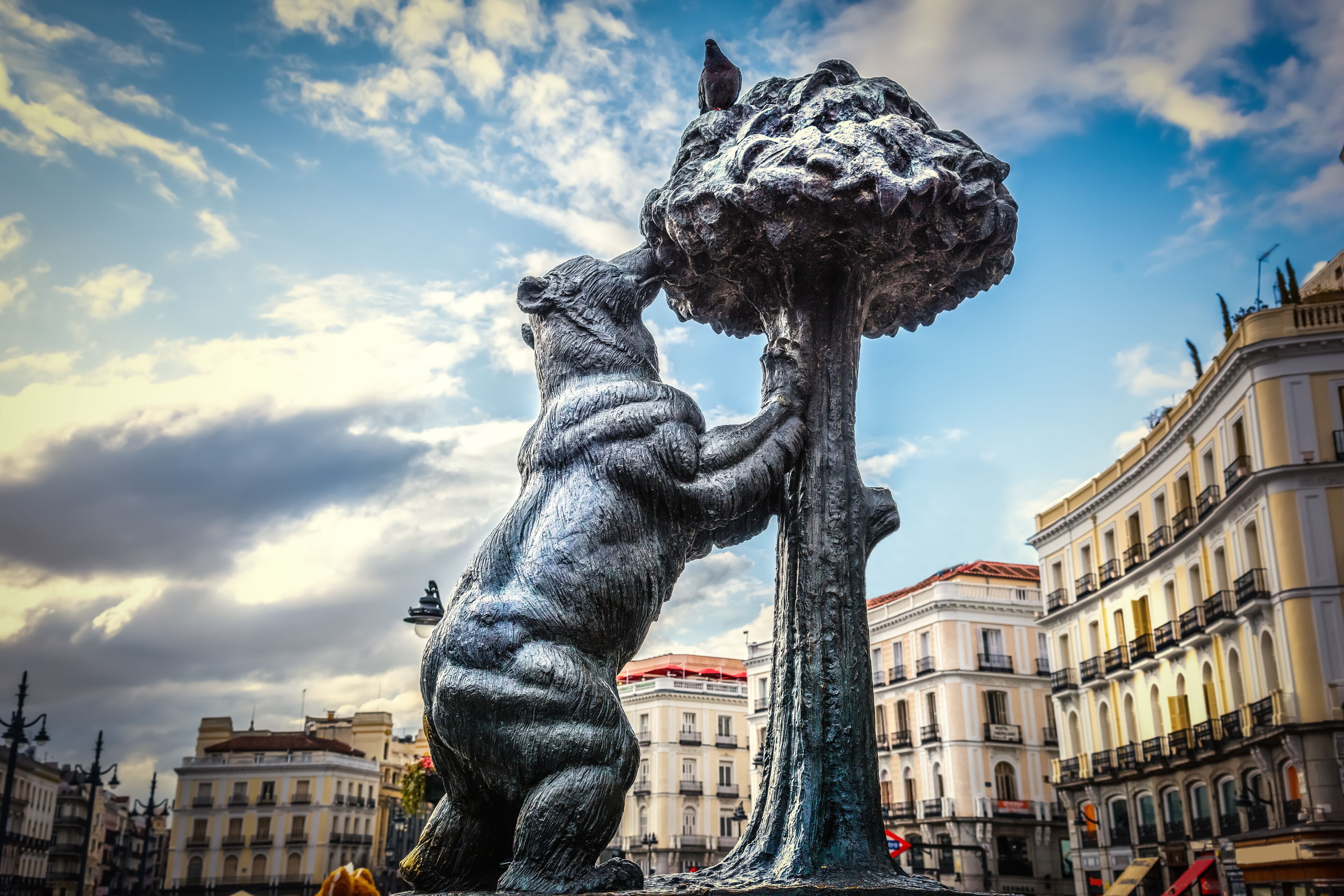 A bronze statue of a bear and a tree in an urban setting with historic buildings in the background.