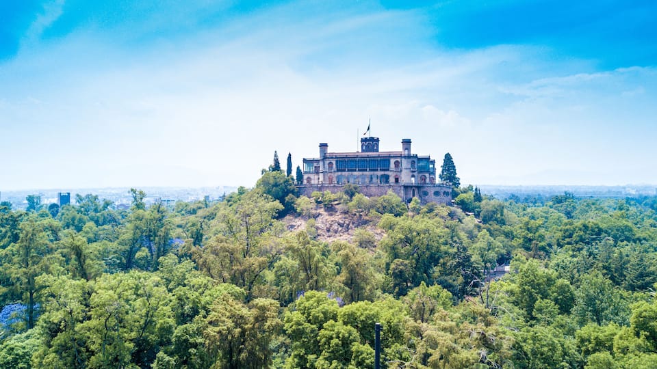 A large, historic building atop a hill surrounded by dense forest.