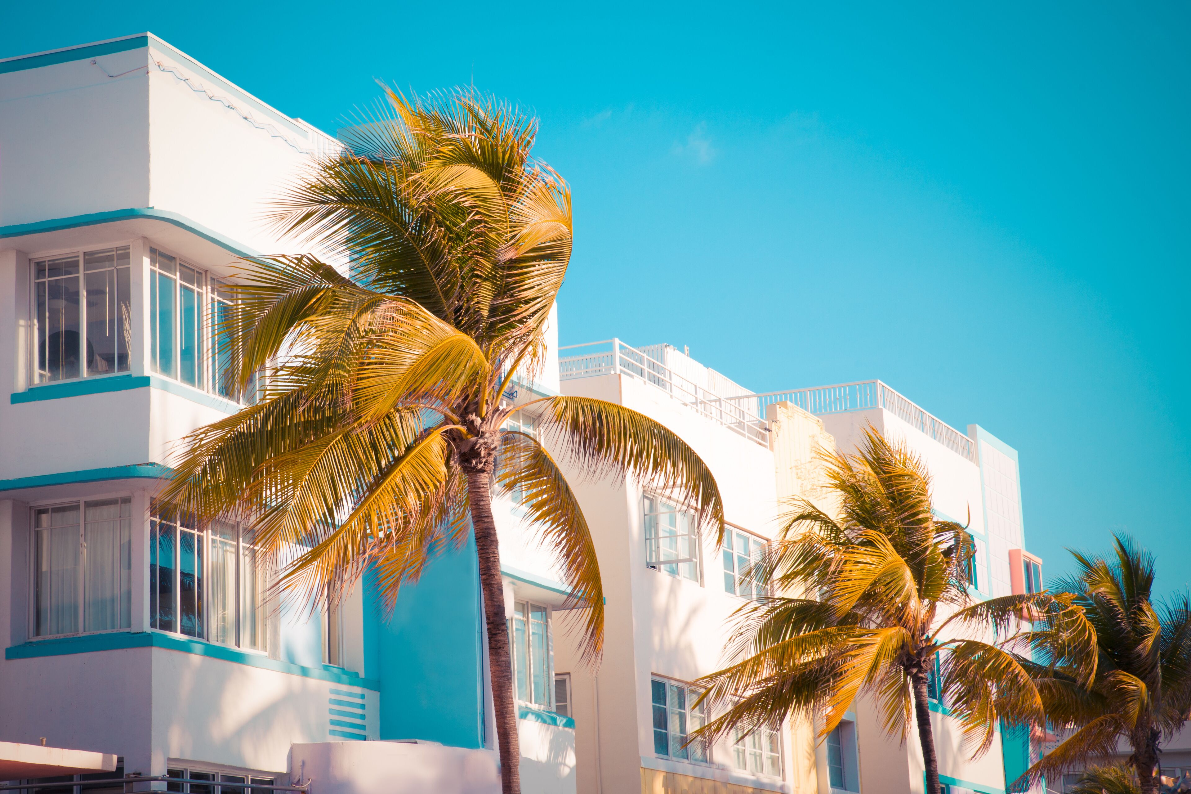 A white building with blue trim and palm trees in front.