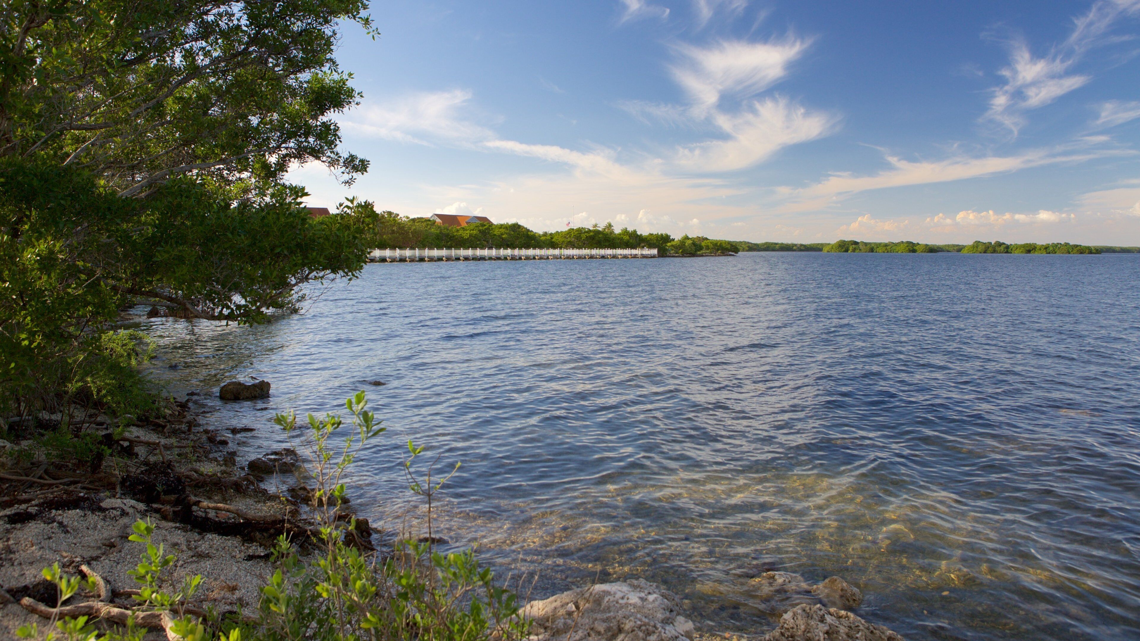 A calm lake with clear water, surrounded by greenery and a dock extending into the water.