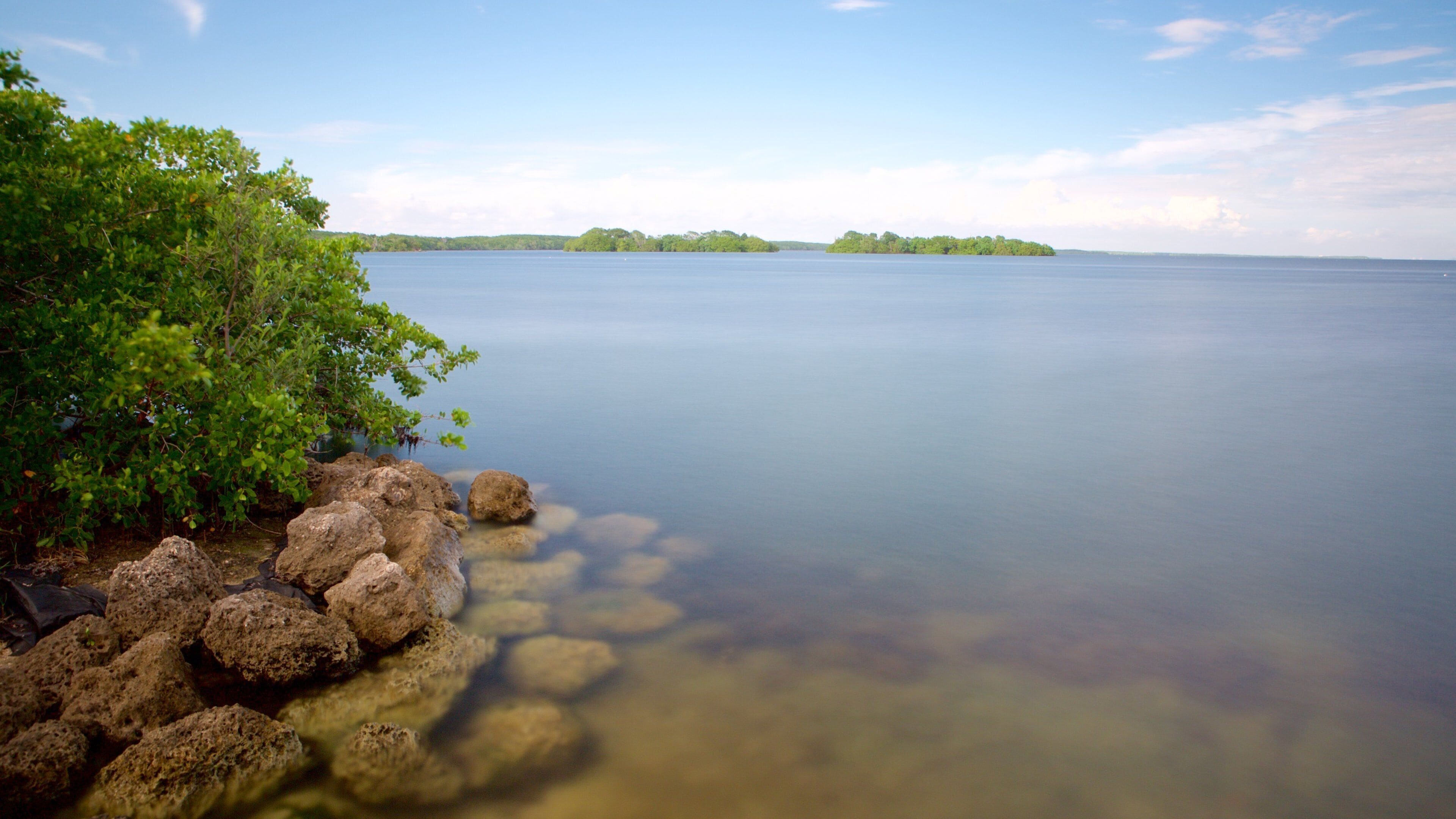 A calm lake with clear water, surrounded by green foliage and rocks.