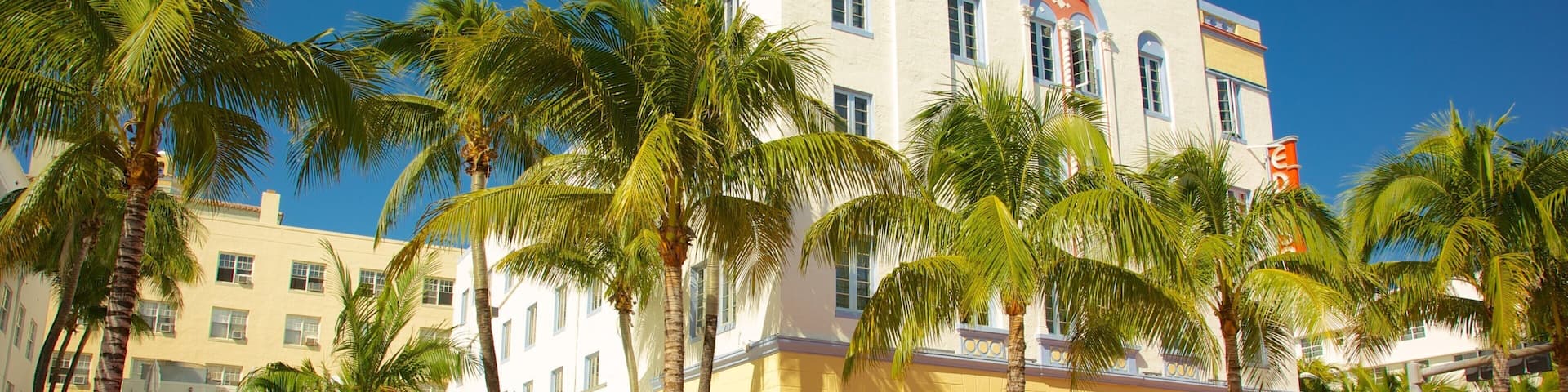 Vibrant Miami street life with palm trees and classic cars in a sunny bright setting