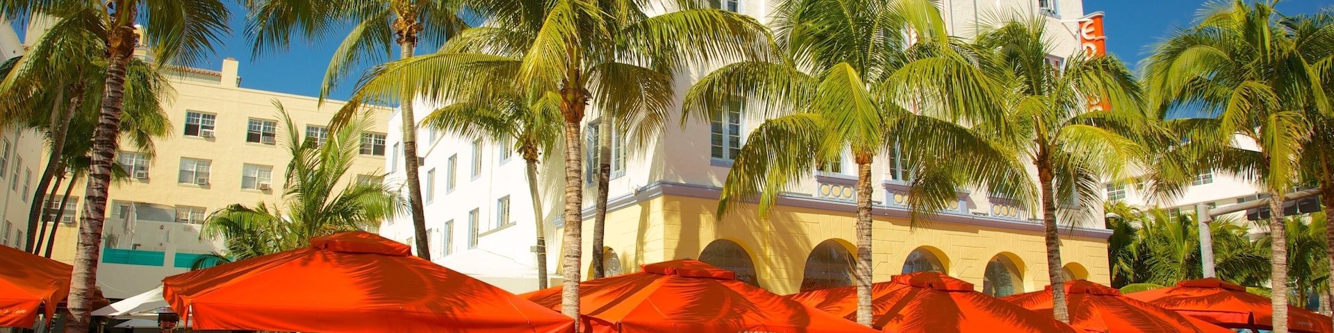 Vibrant Miami street life with palm trees and classic cars in a sunny bright setting
