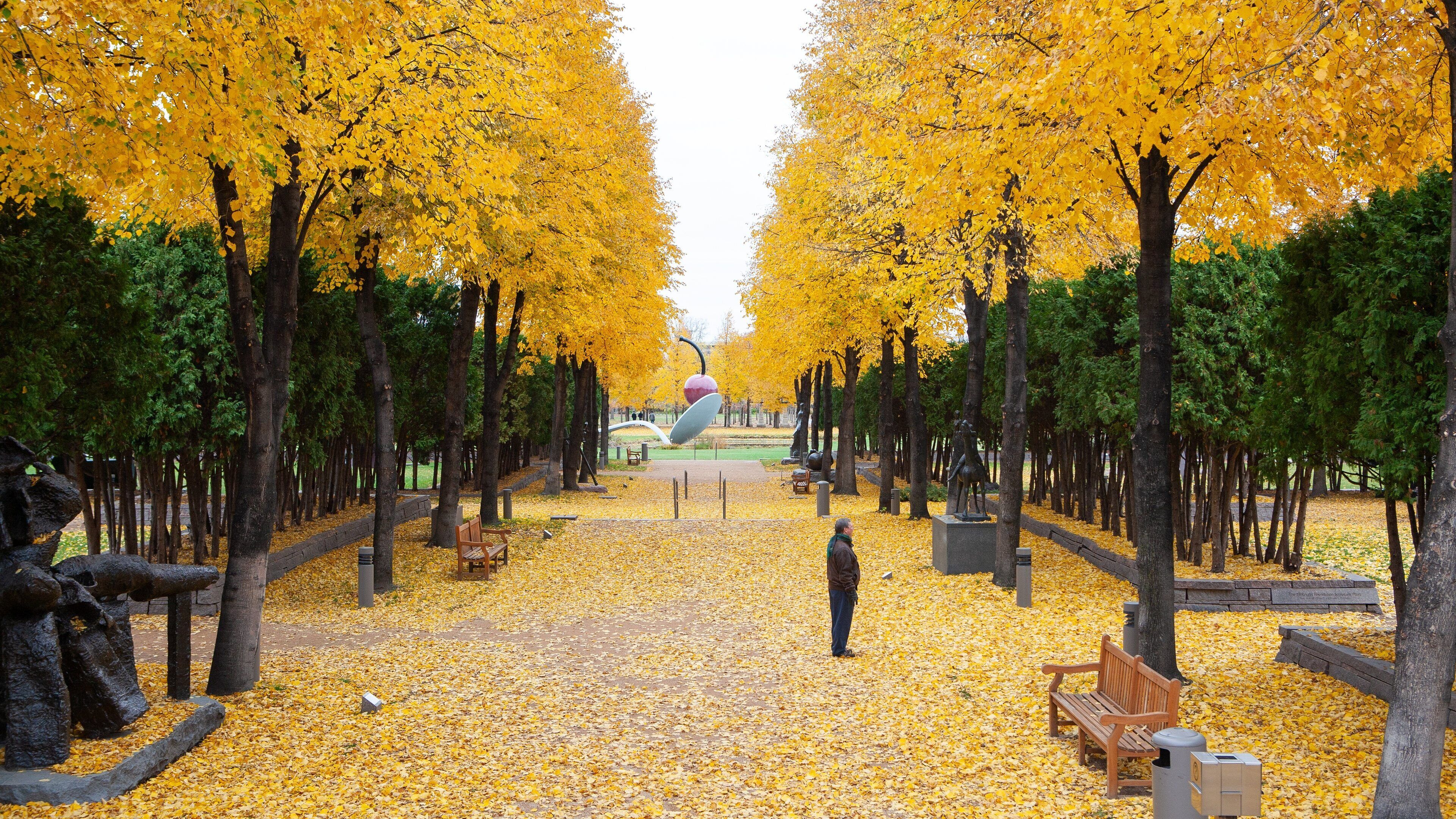 Minneapolis - St. Paul