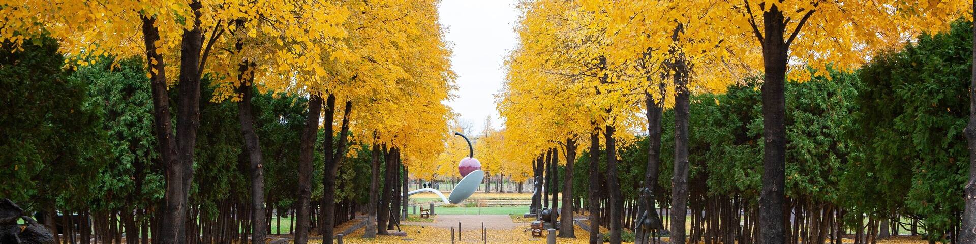 Minneapolis - St. Paul