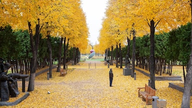 Minneapolis - St. Paul