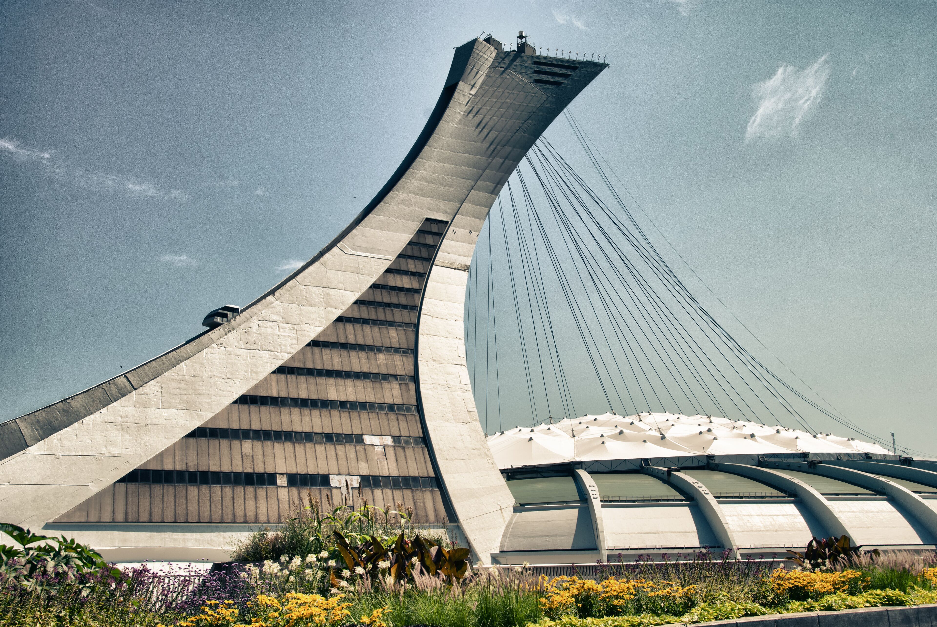 A modern bridge with a curved design and a cable-stayed structure.