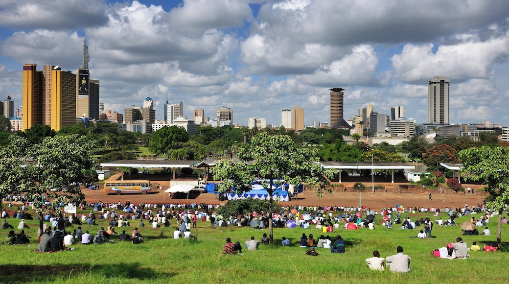 Nairobi which includes picnicking, a city and a high-rise building