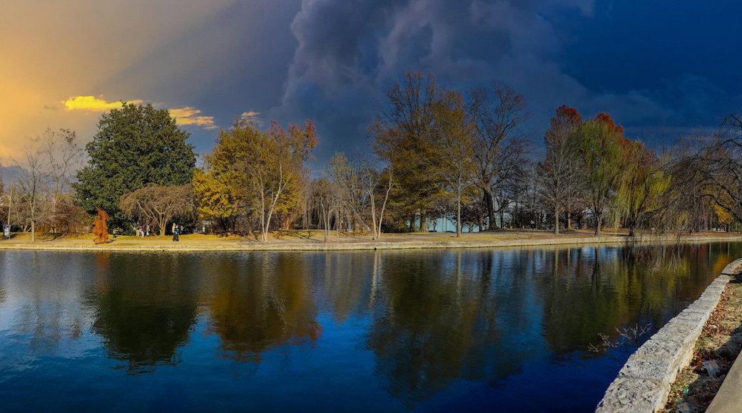 Mount Juliet
