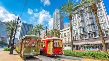 A tram in a city with tall buildings and palm trees.