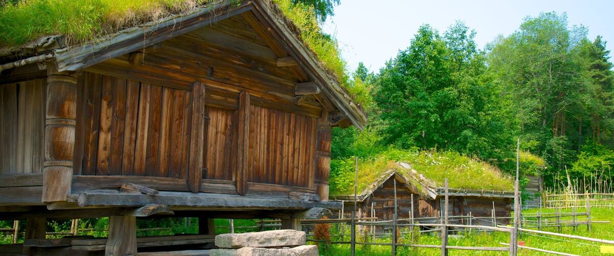 Oslo which includes a house