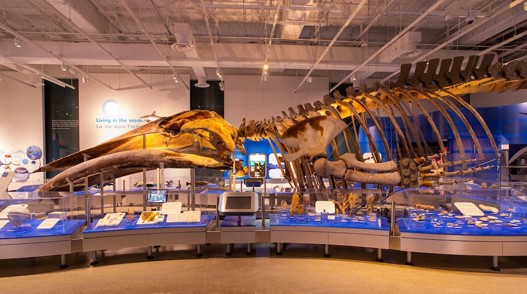 Ottawa featuring heritage elements and interior views