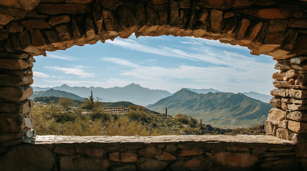 Phoenix featuring mountains and tranquil scenes