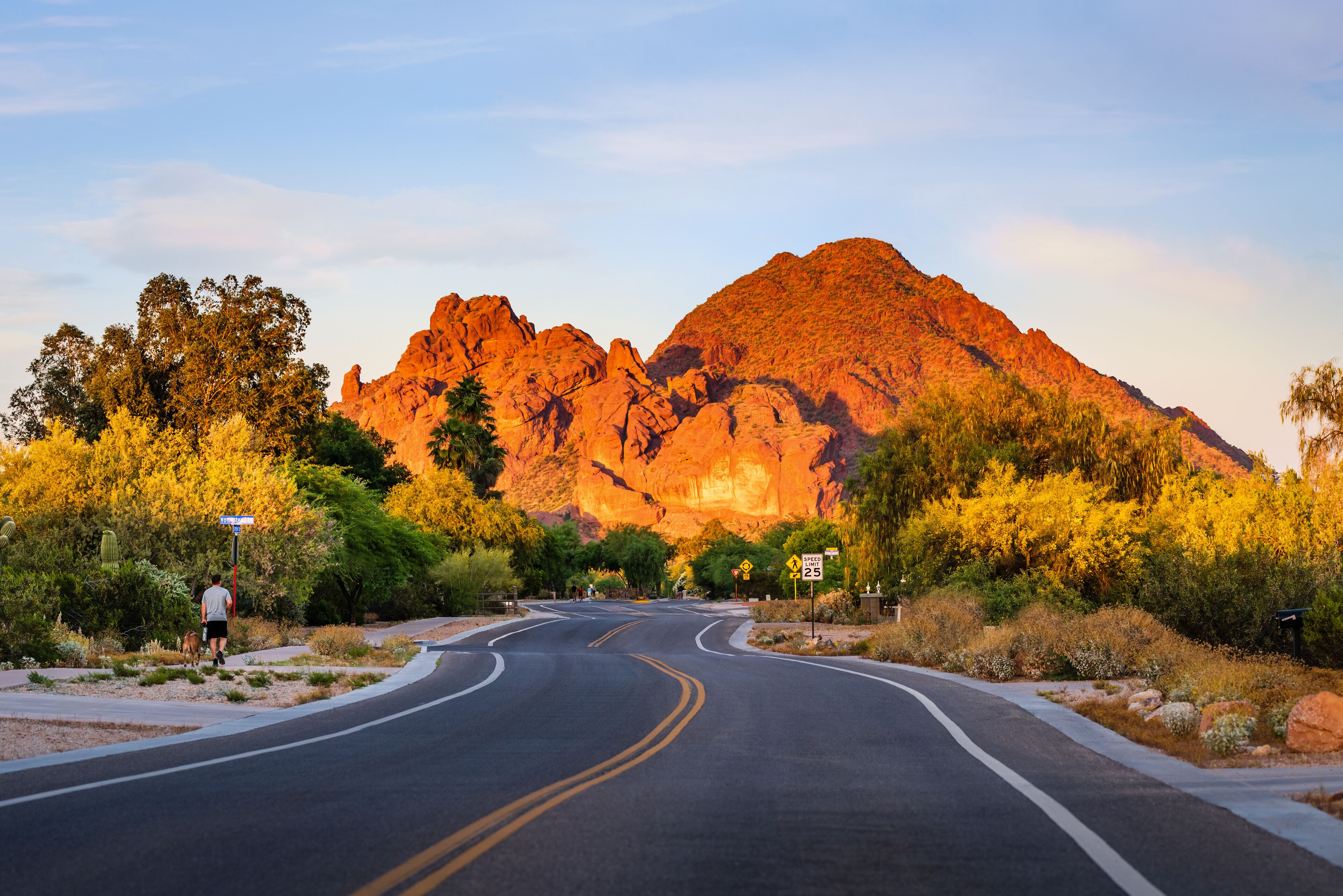 A winding road with a mountain in the background.