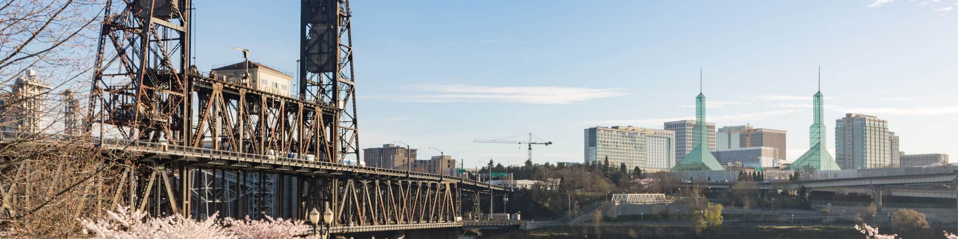 Cherry blossoms on Portland Waterfront, with Steel Bridge and Portland Convention Center, Oregon